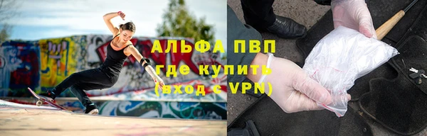 стаф Абаза