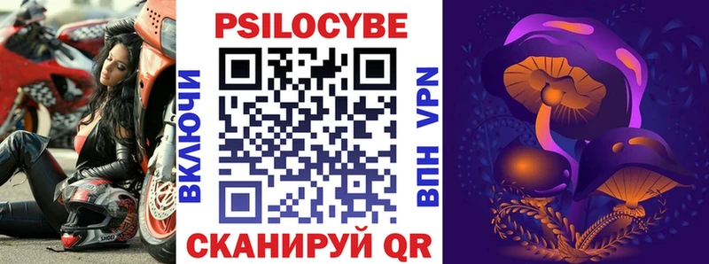 как найти   Переславль-Залесский  Галлюциногенные грибы Psilocybine cubensis 